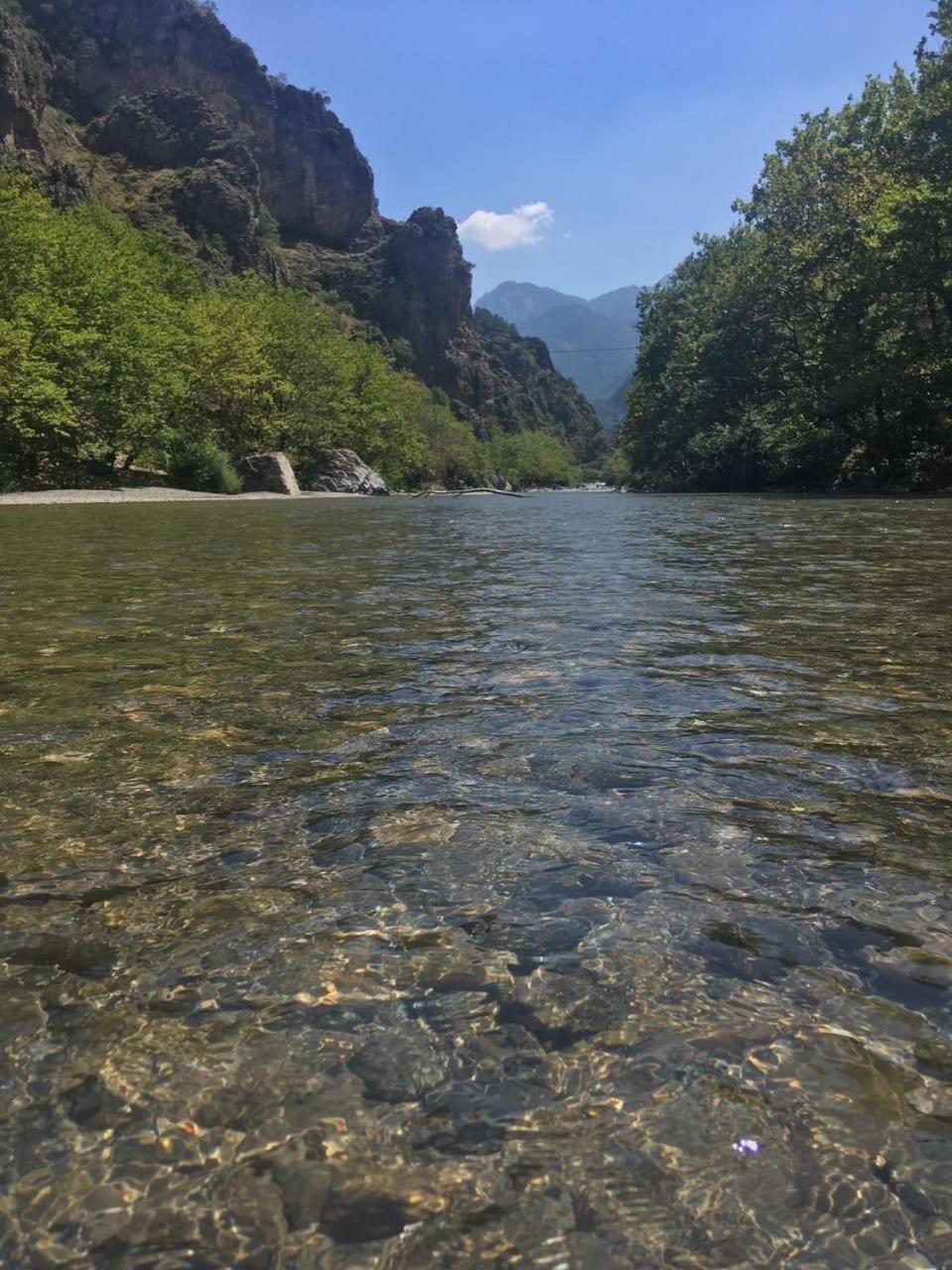 Konitsa Primula Daire Dış mekan fotoğraf